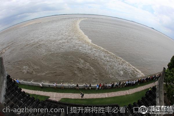 提升麻将胜率必看：口诀技巧全解析